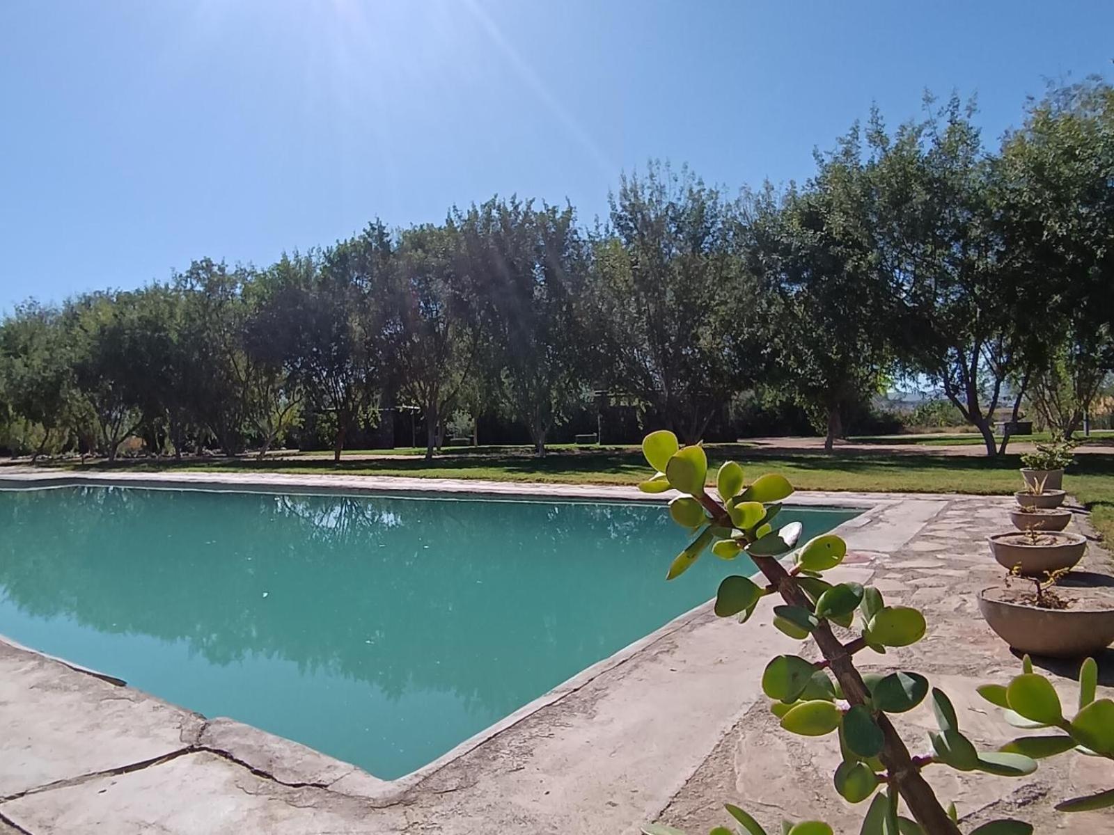 Kwelanga River Lodge Vioolsdrift Екстериор снимка